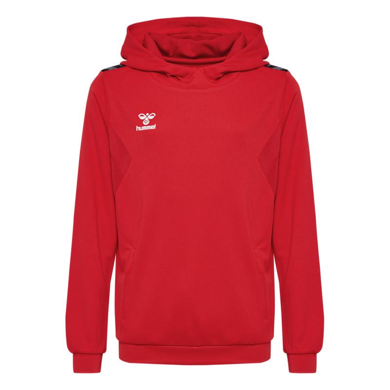 Authentic PL Hoodie Kids